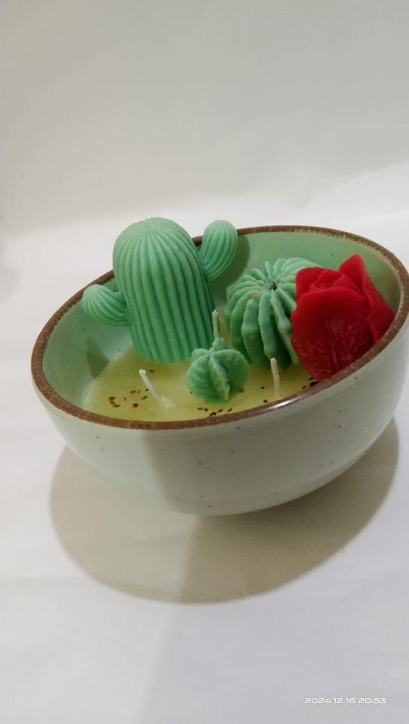 Cactus Garden Candle - Main physical image